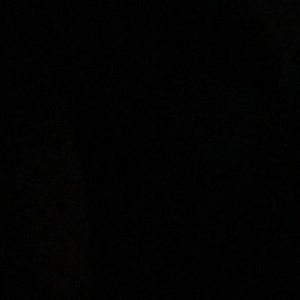 Meet your Posher, Jake